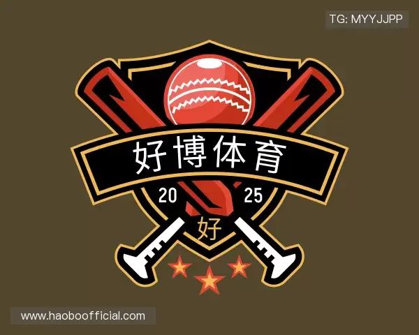 好博体育(中国)官方网站 - HAOBO SPORTS